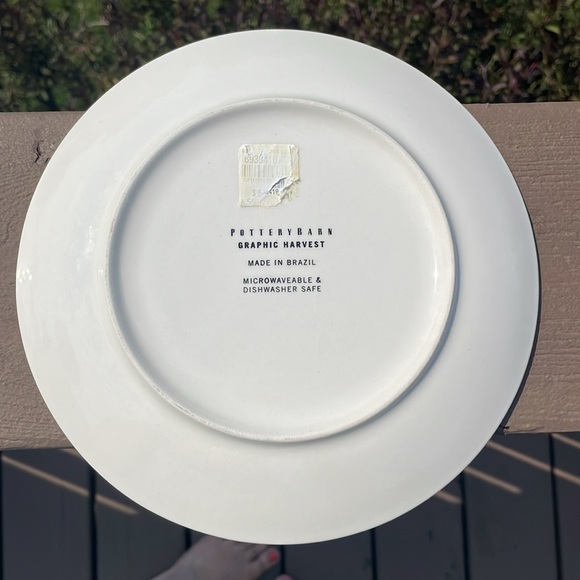 Pottery Barn Graphic Harvest 8.25” Diameter Plates - Set of 2 - Picture 5 of 9